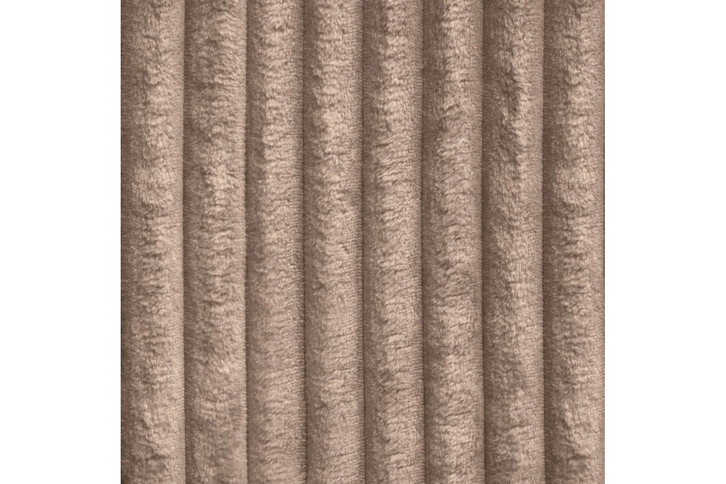 Tilia - 17